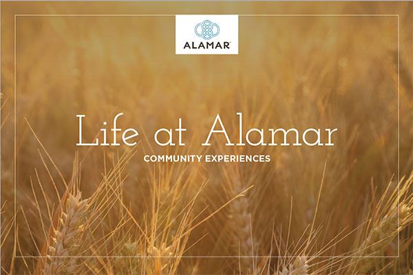 Alamar community experiences in Avondale, AZ
