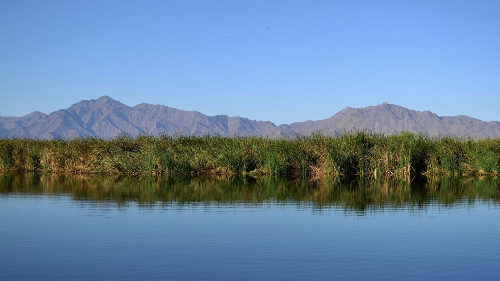 Tres Rios Wetlands located close to the Alamar community in Avondale, AZ