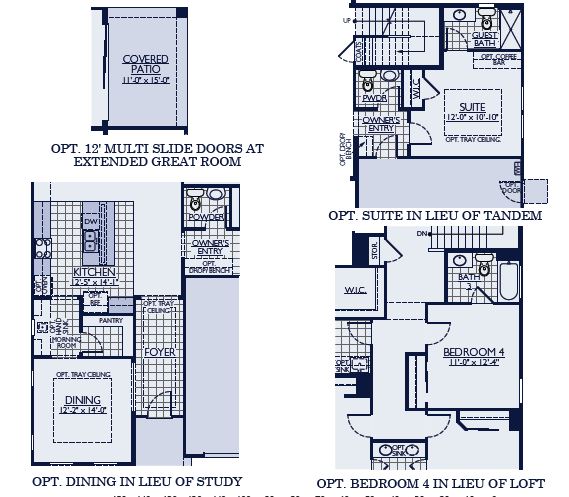 Patagonia floorplan room options by William Ryan Homes at Alamar in Avondale, AZ